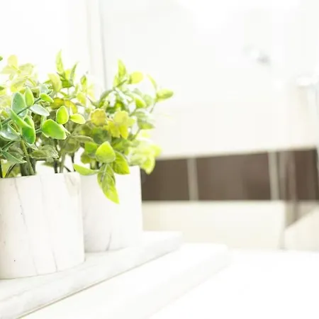 T2 De Standing Au Coeur De L Avenue De Champagne Épernay